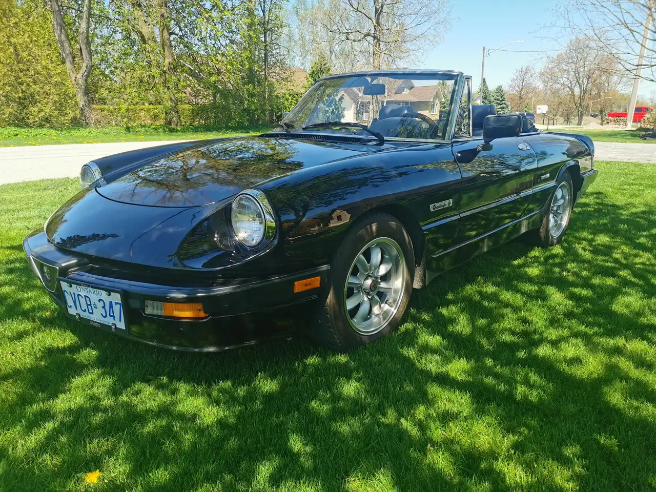 1990 Alfa Romeo Spider