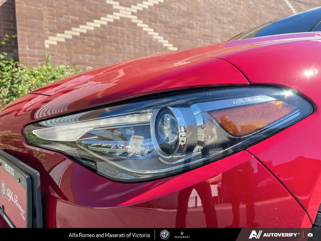 Alfa Romeo Giulia fotografie Alfa Romeo Giulia
