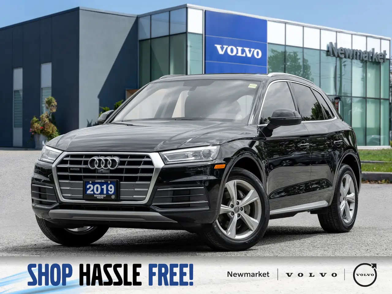 2019 Audi Q5