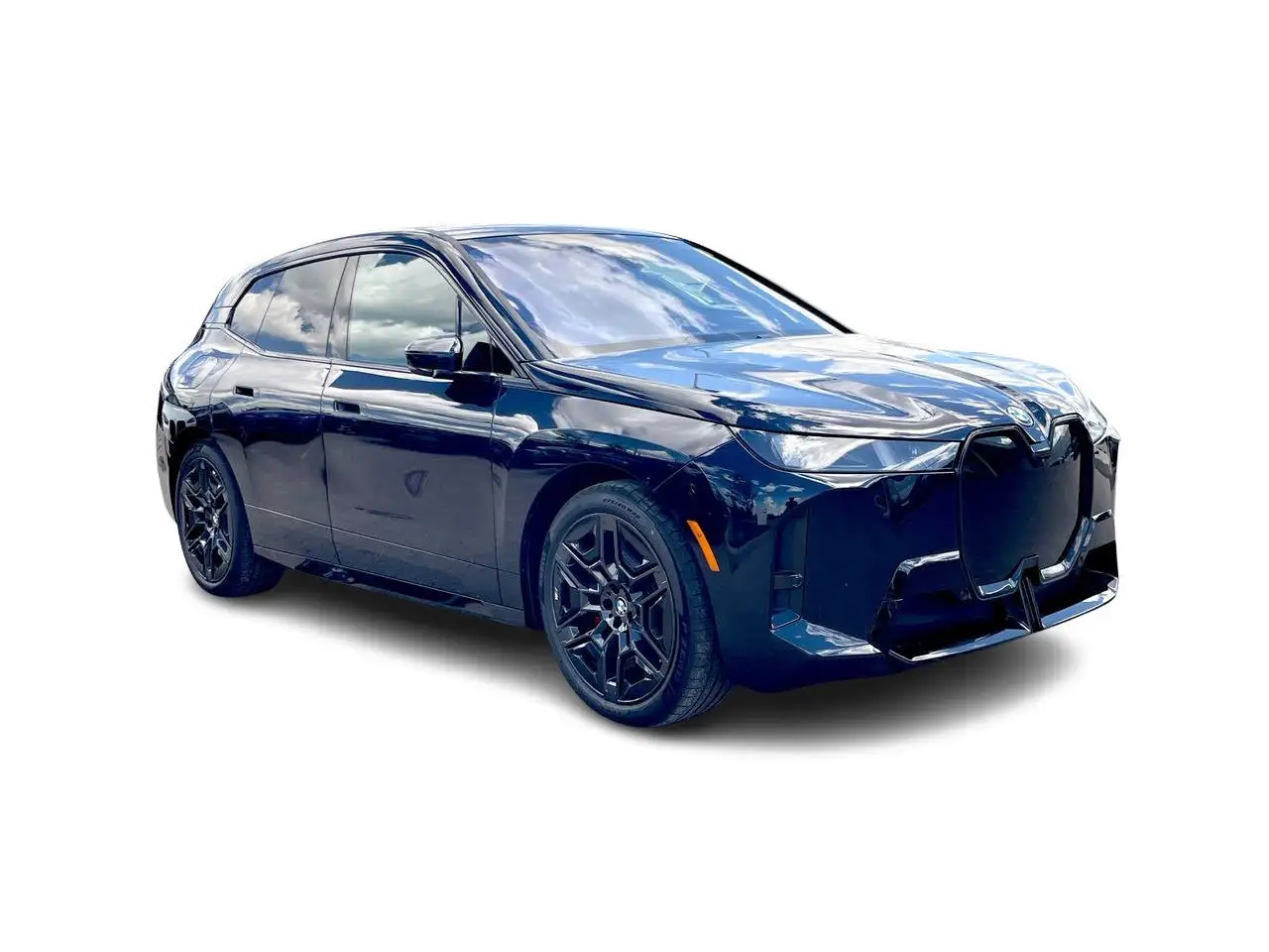 BMW iX photo BMW iX