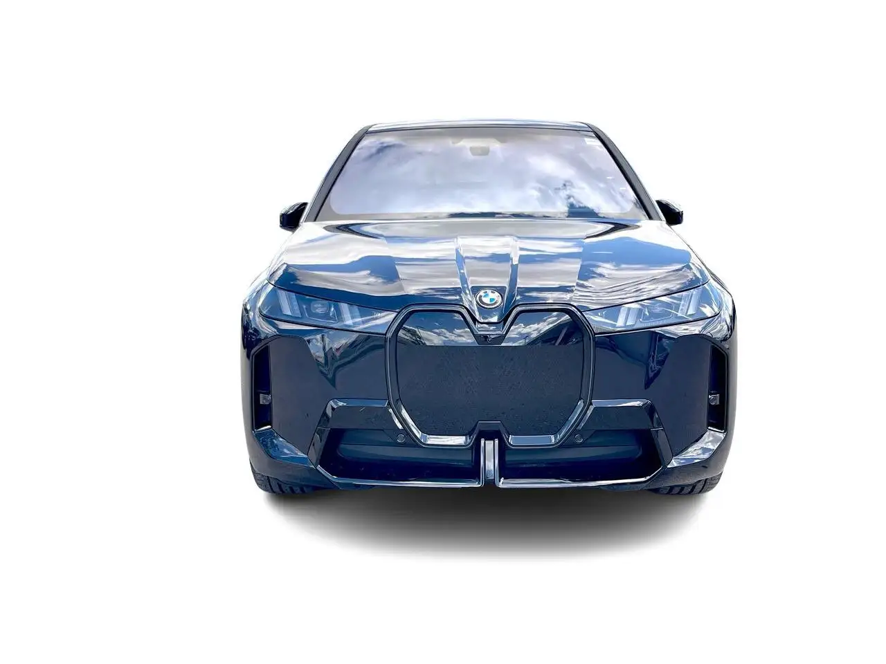 BMW iX photo BMW iX