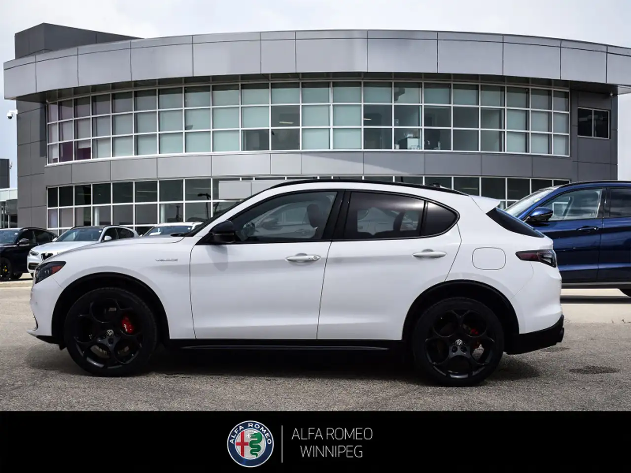 Alfa Romeo Stelvio fotografie Alfa Romeo Stelvio