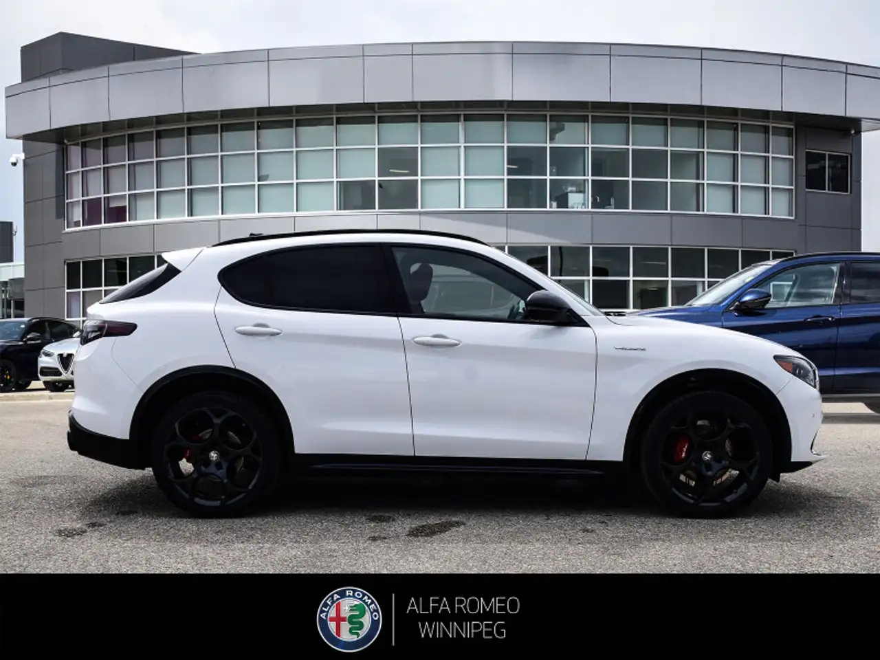 Alfa Romeo Stelvio fotografie Alfa Romeo Stelvio