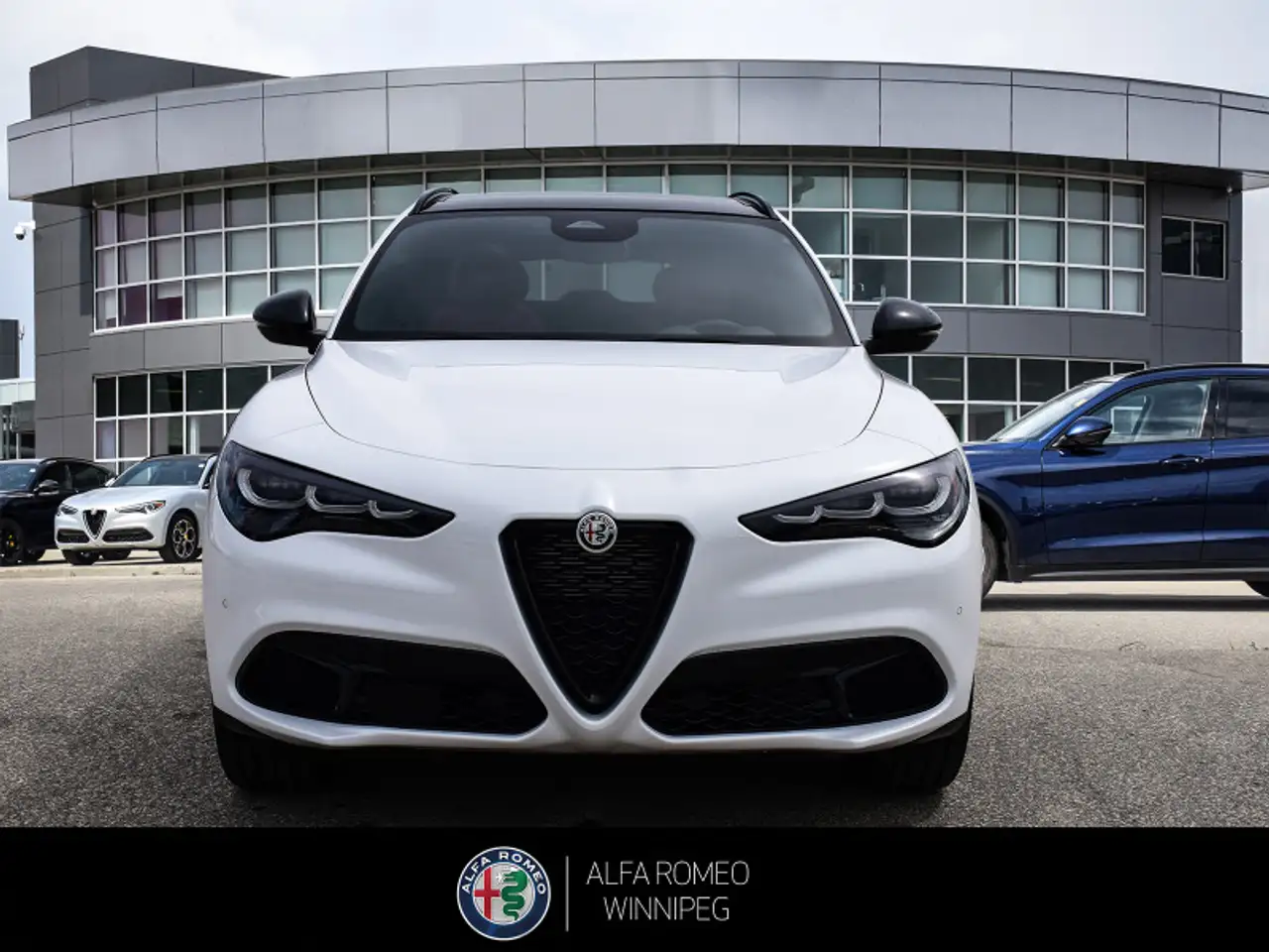 Alfa Romeo Stelvio fotografie Alfa Romeo Stelvio