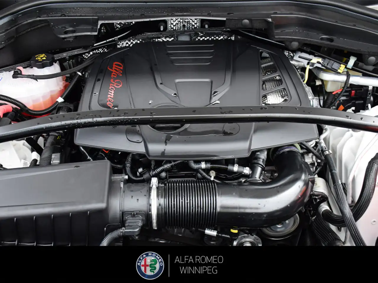 Alfa Romeo Stelvio fotografie Alfa Romeo Stelvio
