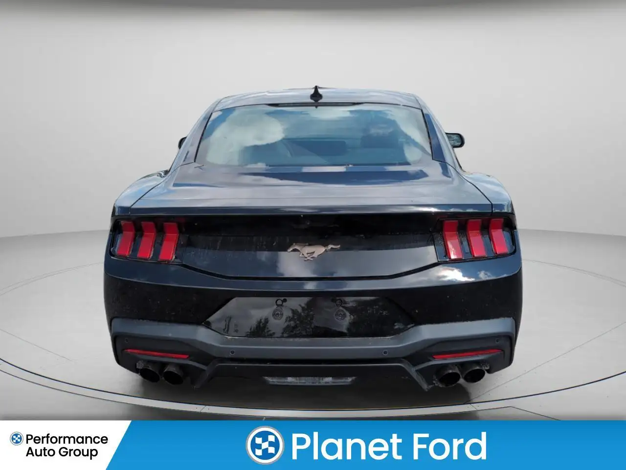 Ford Mustang fotografie Ford Mustang