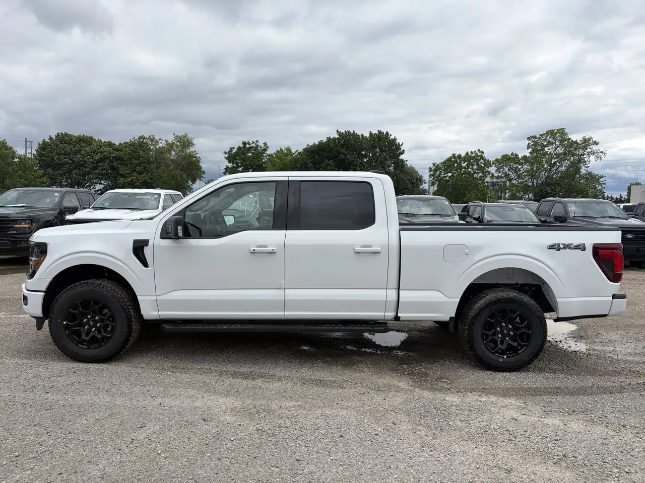 2026 Ford F 150