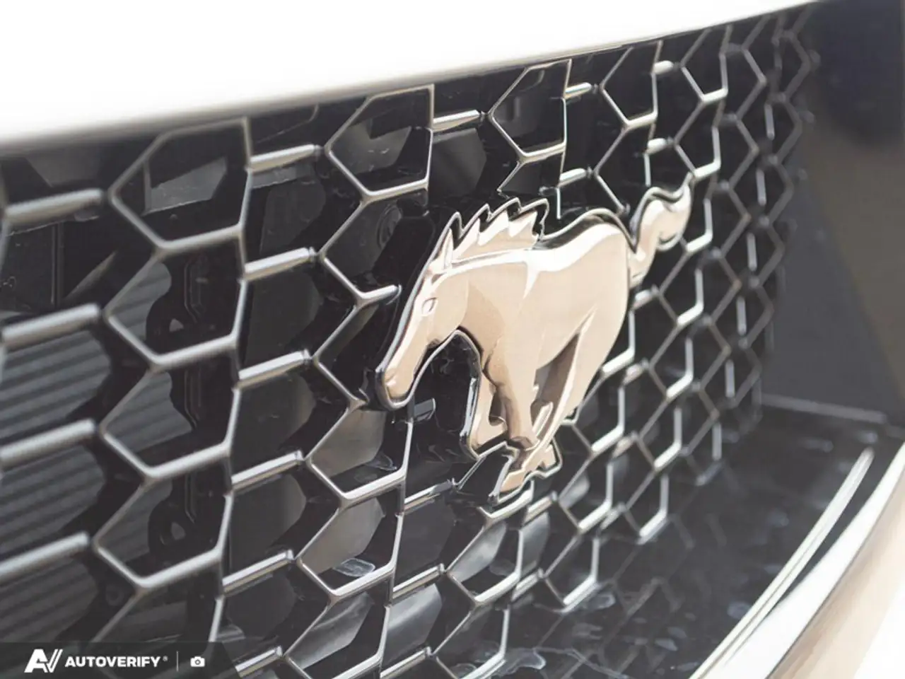 Ford Mustang снимка Ford Mustang