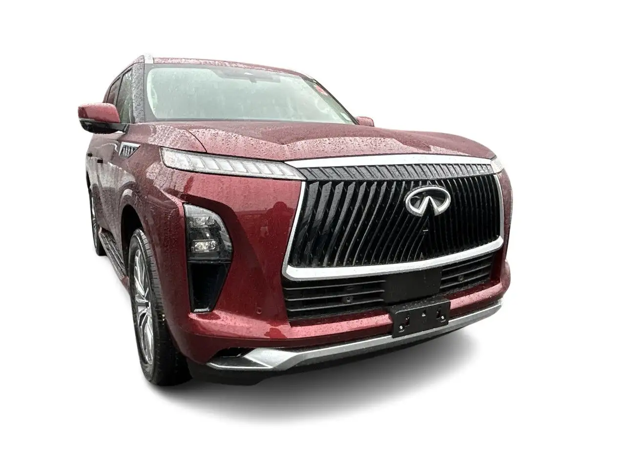 Infiniti QX80 fotografie Infiniti QX80