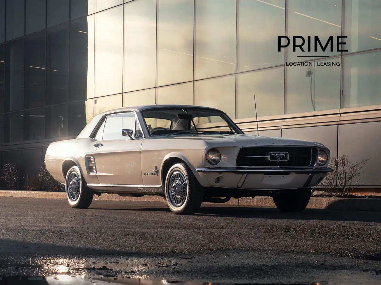 Ford Mustang photo Ford Mustang