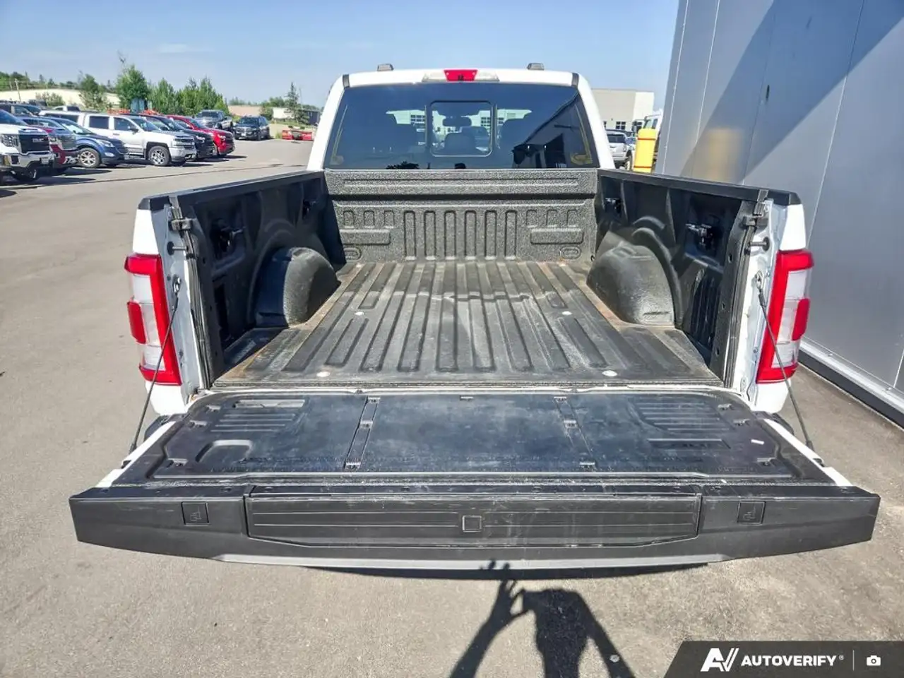 Ford F 150 fotografie Ford F 150
