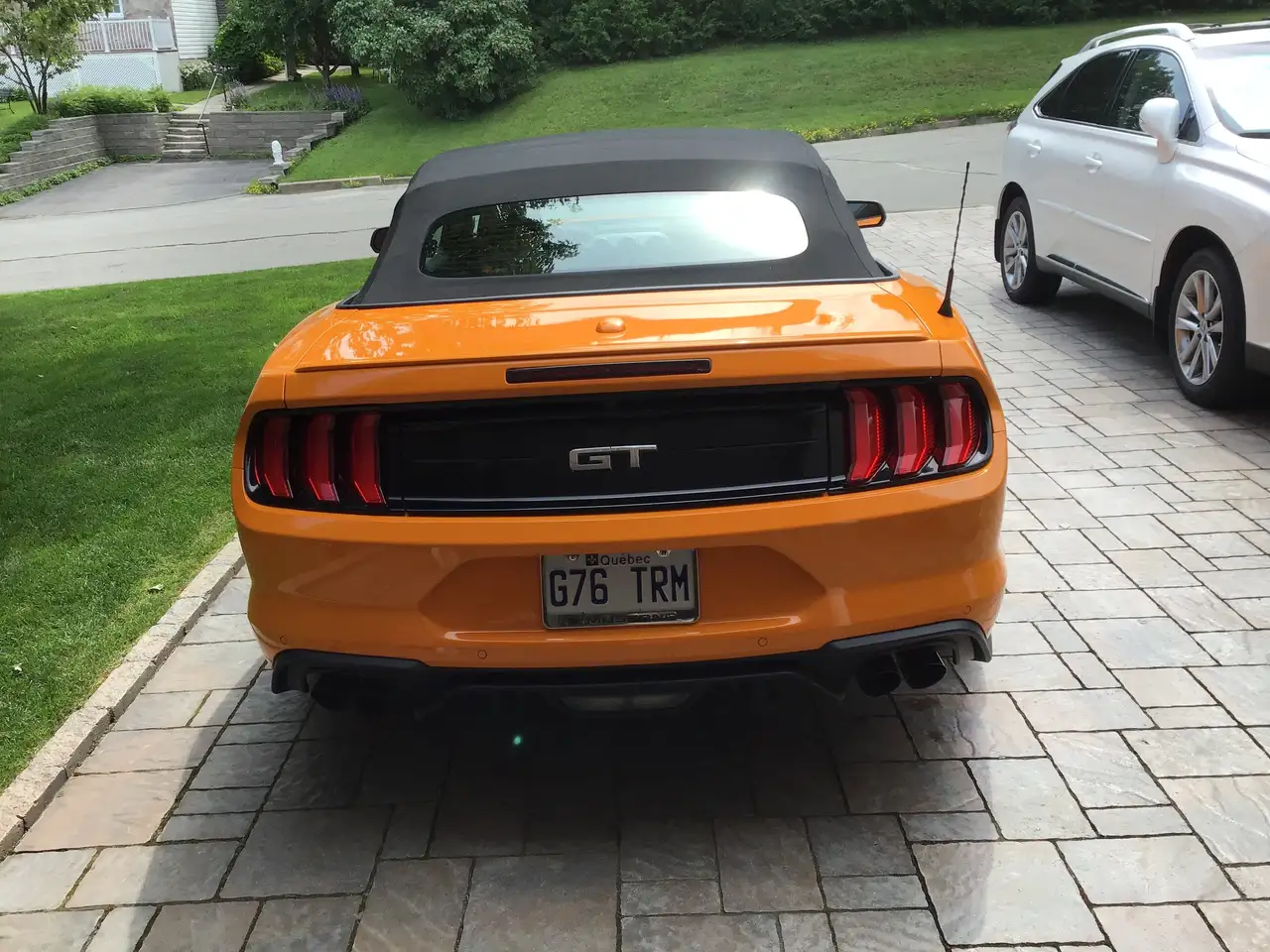 Ford Mustang fotografie Ford Mustang