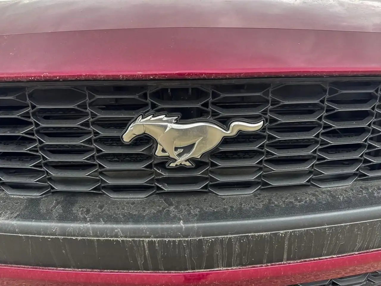 Ford Mustang снимка Ford Mustang