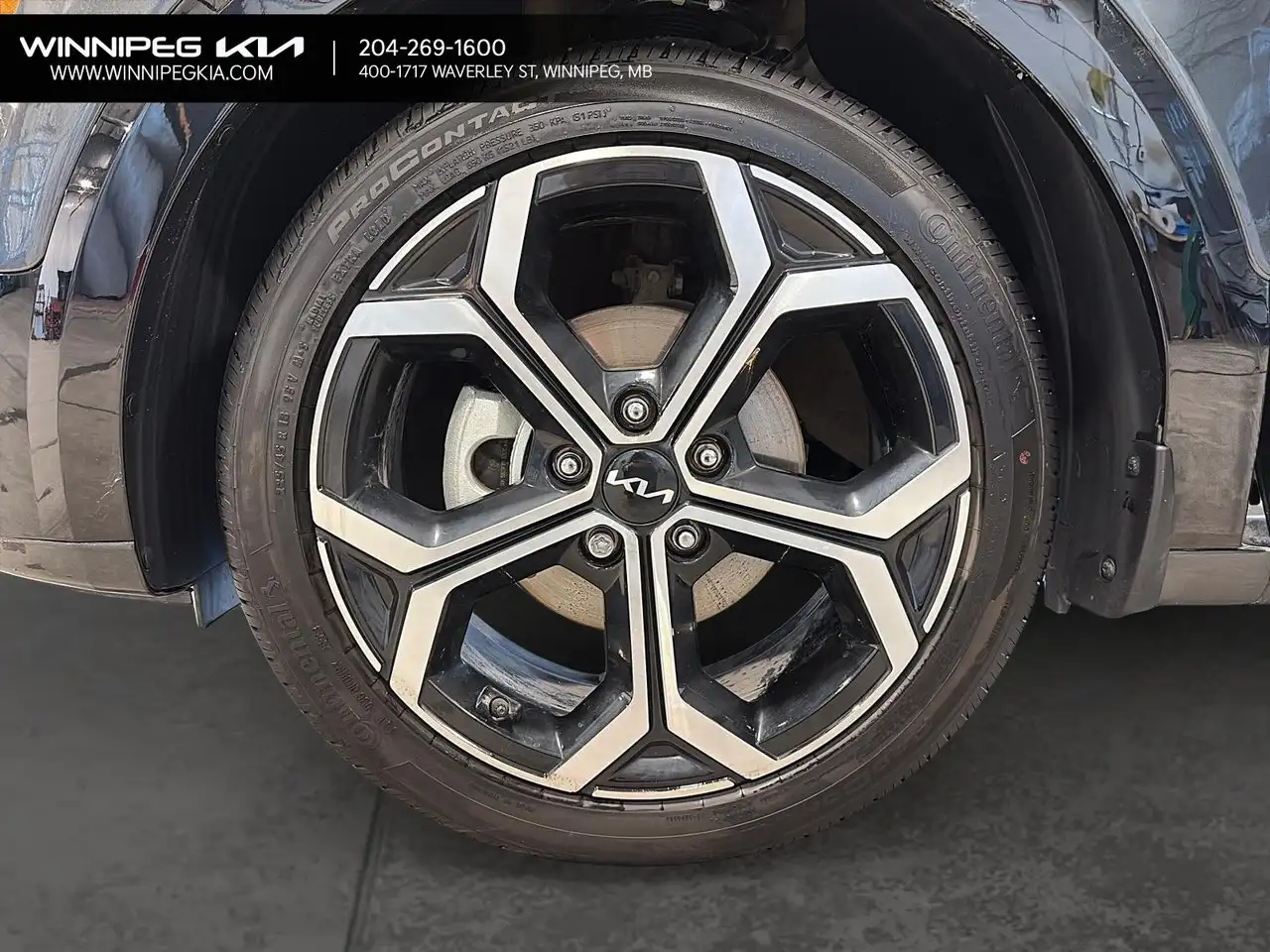 Kia Niro fotografie Kia Niro