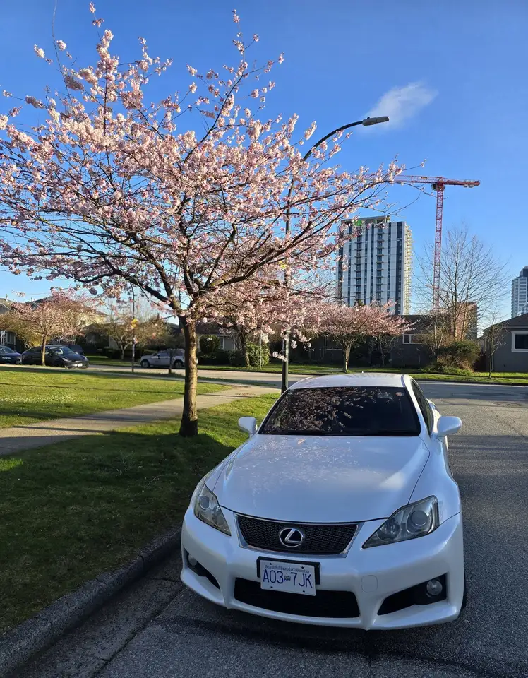 2010 Lexus IS F