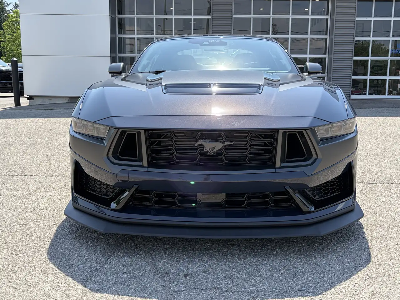 Ford Mustang photo Ford Mustang
