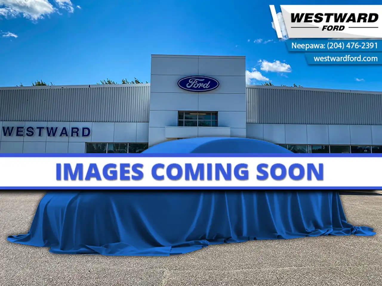2021 Ford F 150