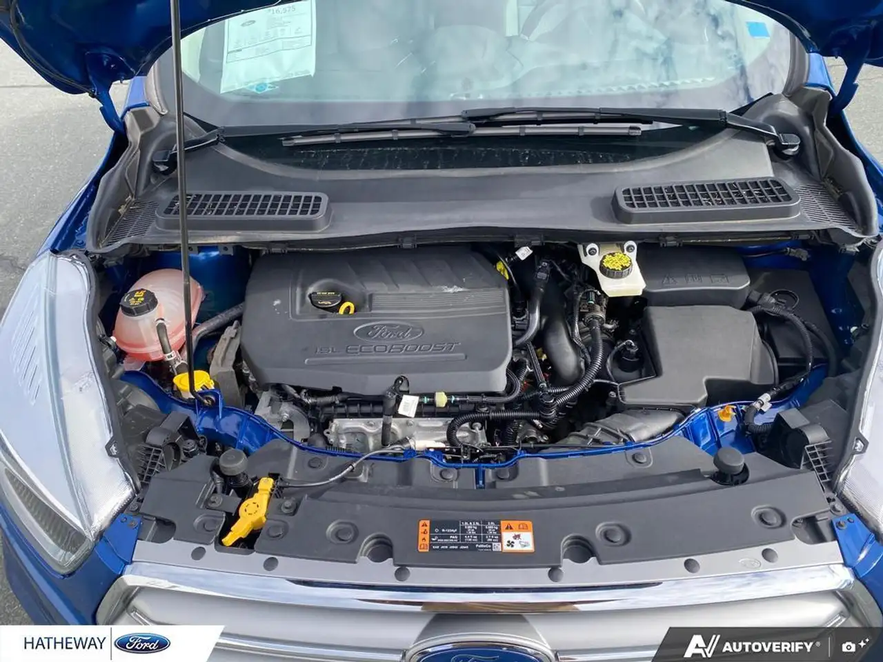 Ford Escape fotografie Ford Escape