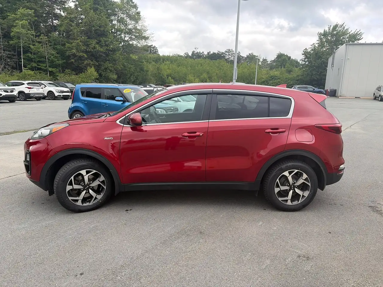 Kia Sportage photo Kia Sportage