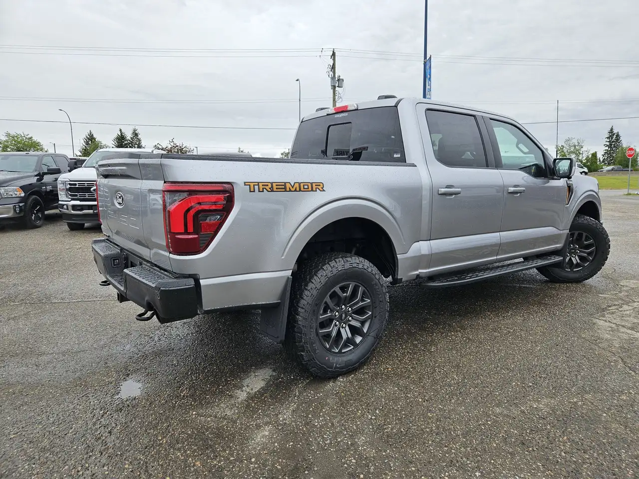 Ford F 150 photo Ford F 150