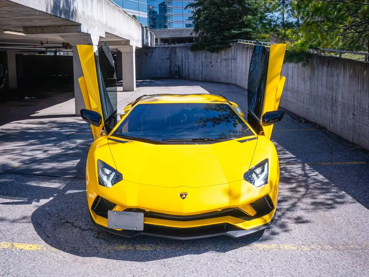 Lamborghini Aventador fotografie Lamborghini Aventador