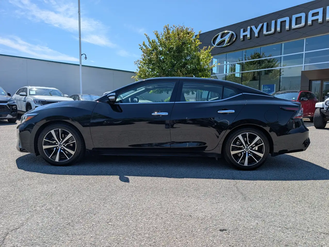 Nissan Maxima fotografie Nissan Maxima