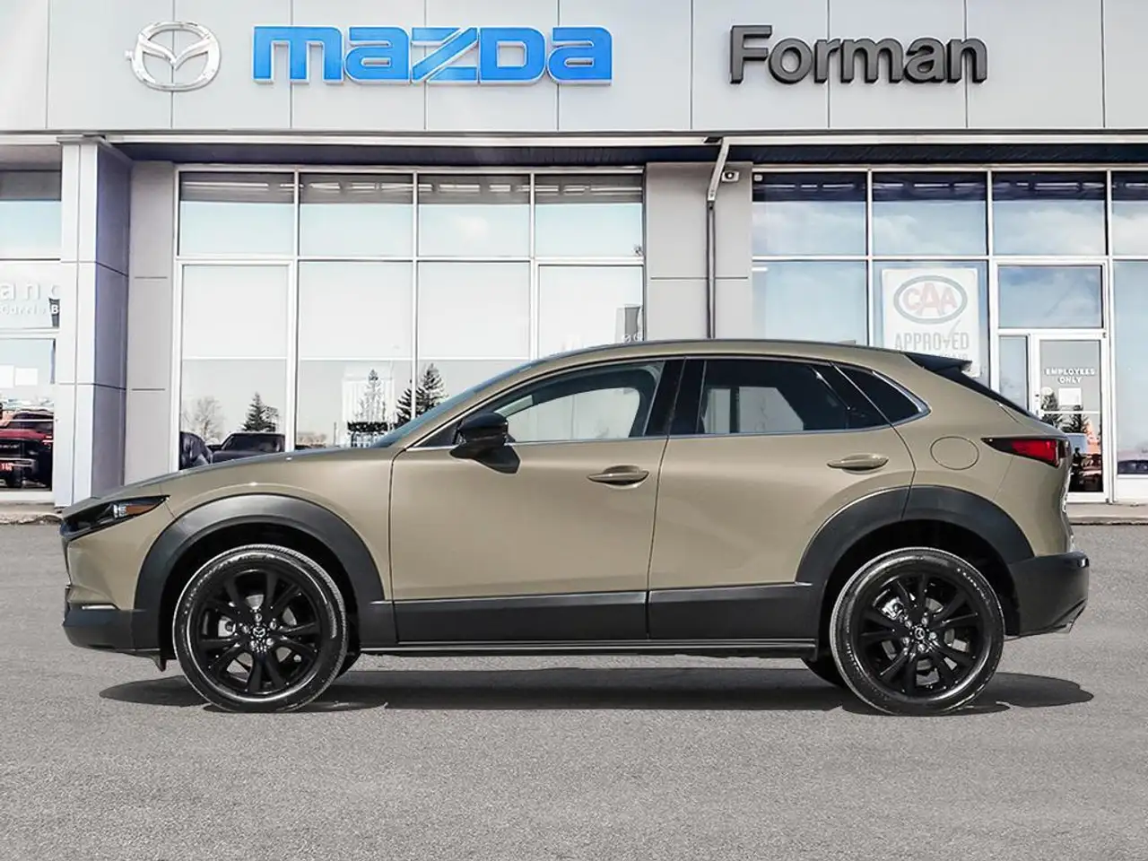 Mazda CX-30 photo Mazda CX-30