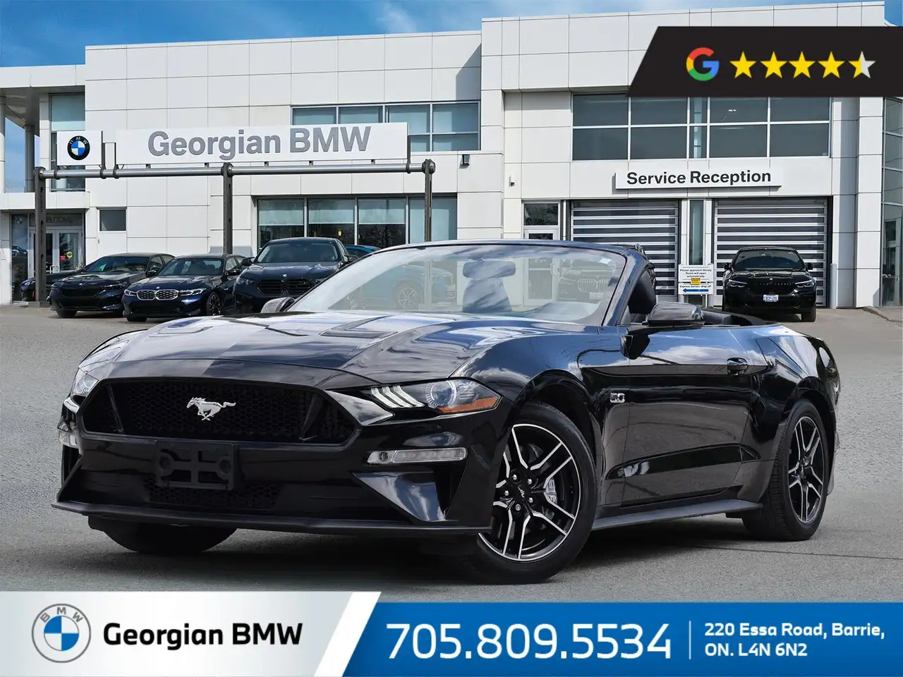 Ford Mustang fotografie Ford Mustang