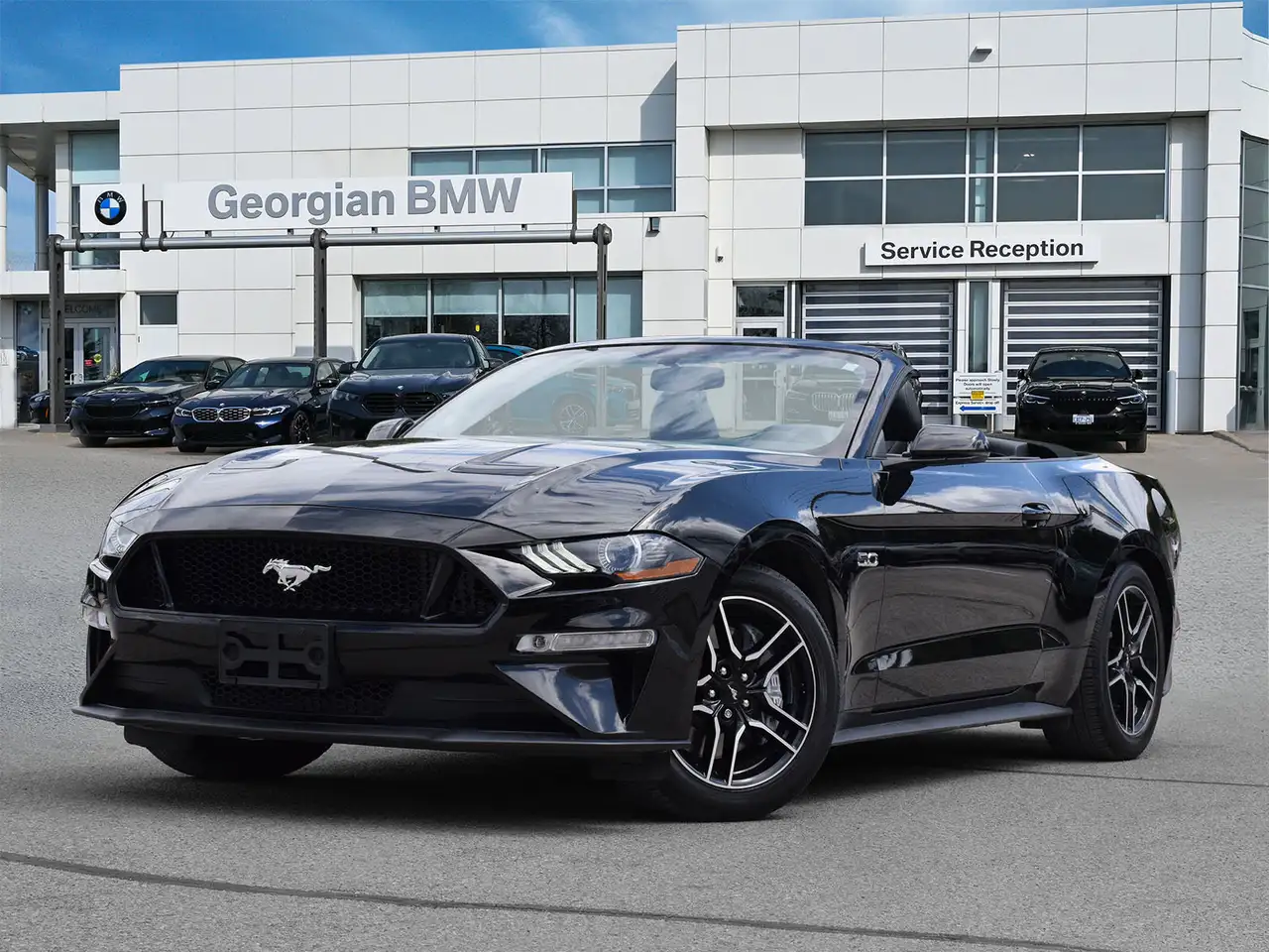 Ford Mustang fotografie Ford Mustang