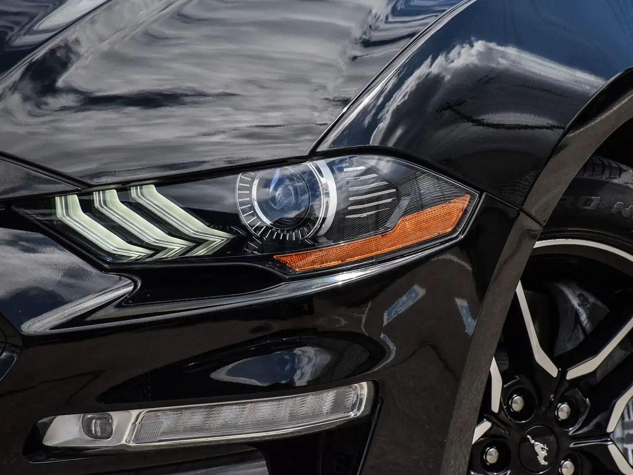 Ford Mustang fotografie Ford Mustang