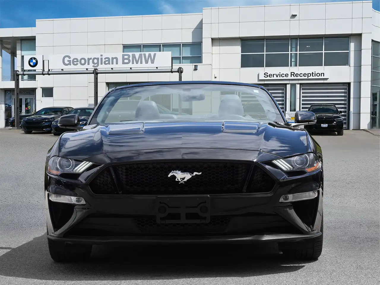 Ford Mustang fotografie Ford Mustang