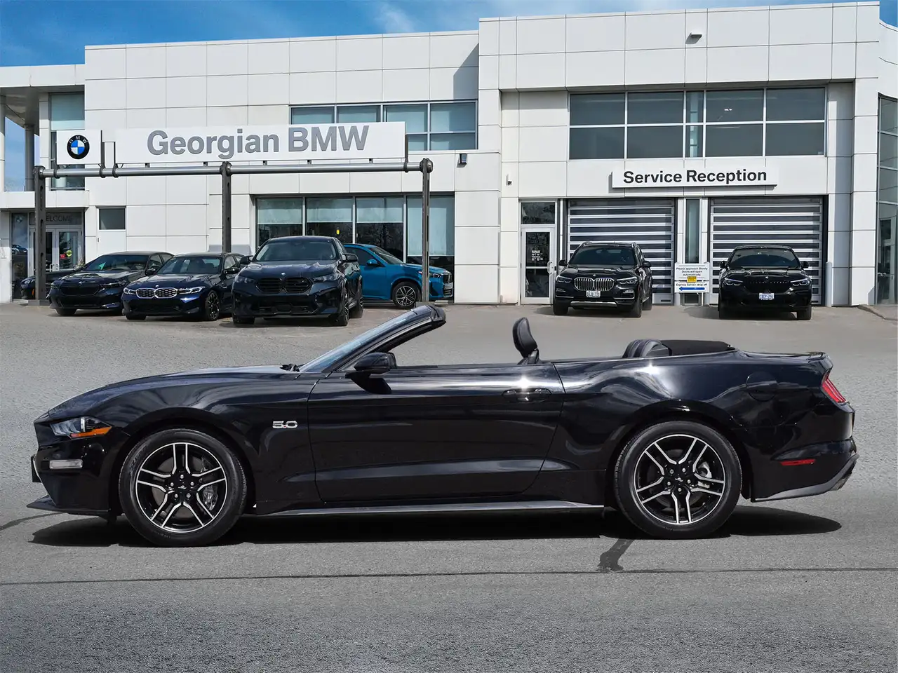 Ford Mustang fotografie Ford Mustang