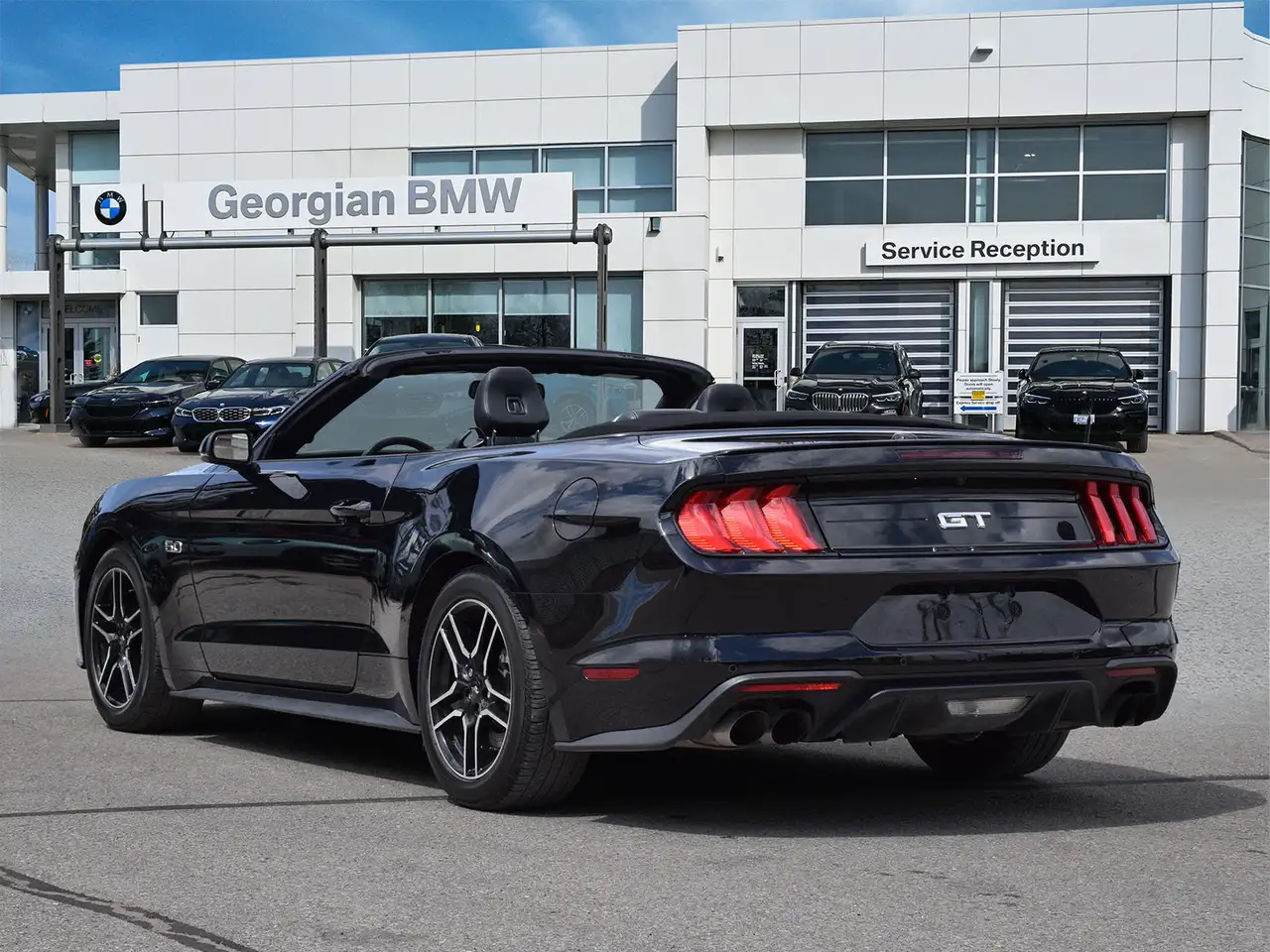 Ford Mustang fotografie Ford Mustang