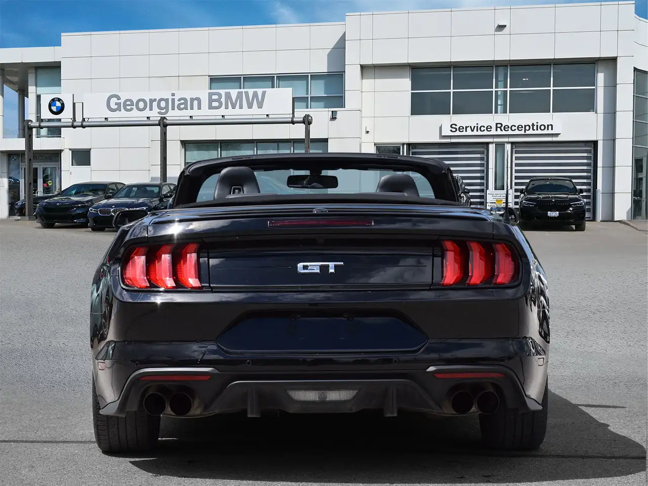 Ford Mustang fotografie Ford Mustang