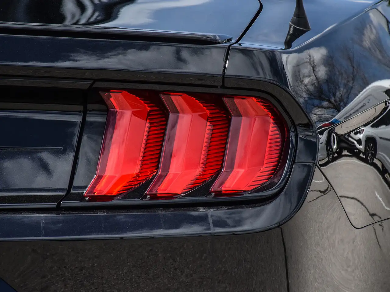 Ford Mustang fotografie Ford Mustang