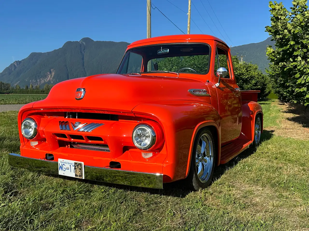1954 Ford F 150