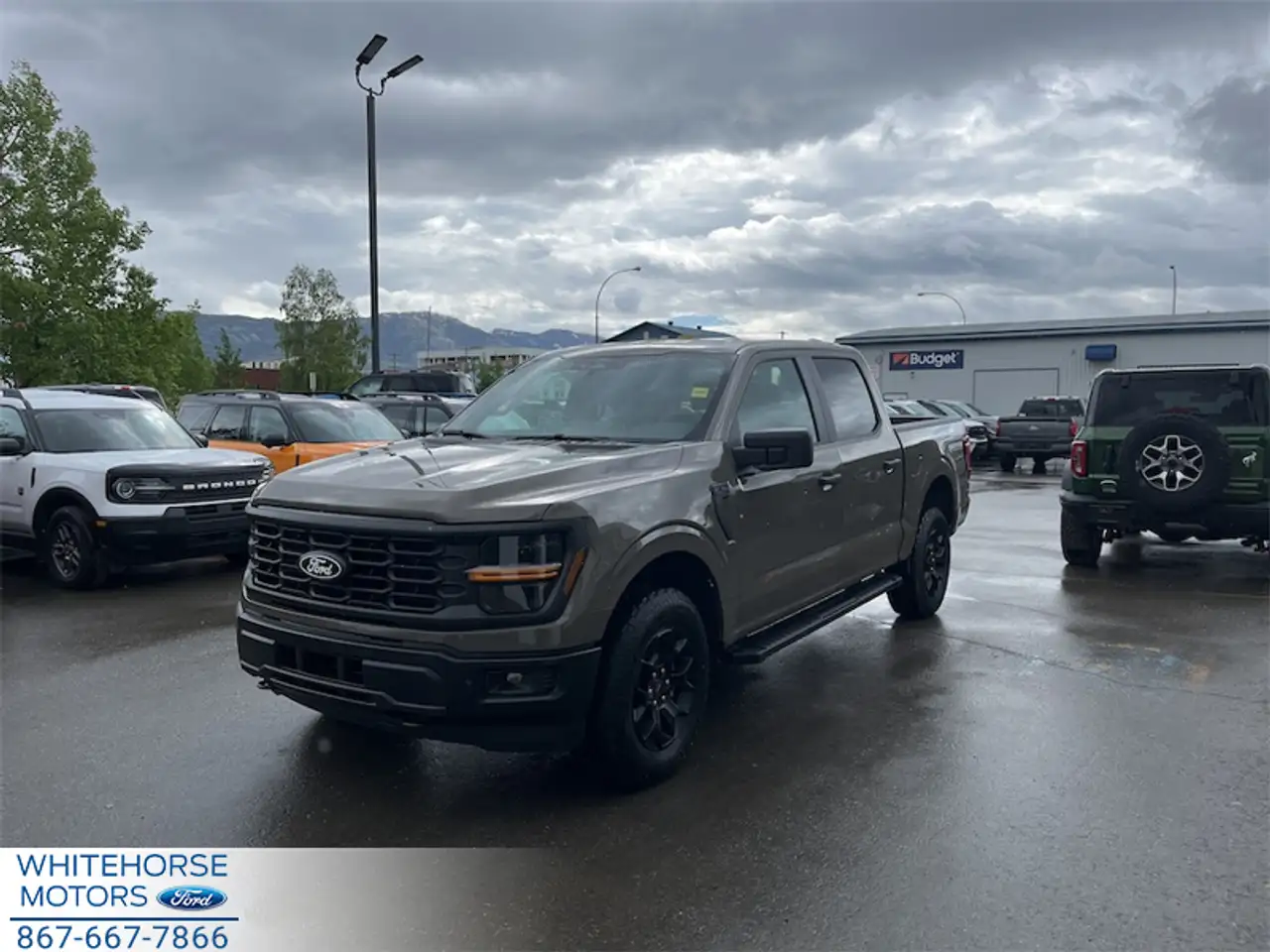 2026 Ford F 150
