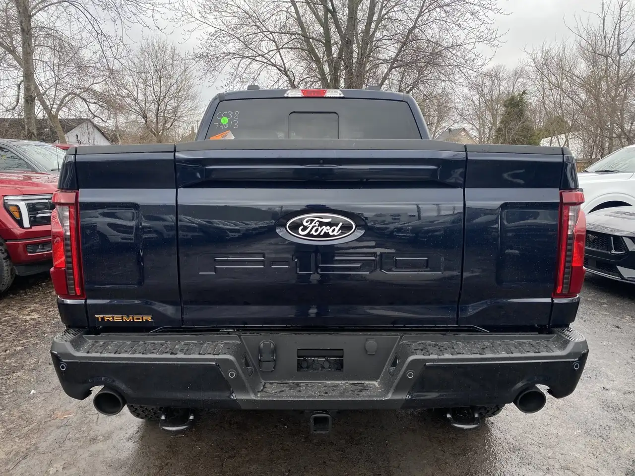 Ford F 150 fotografie Ford F 150