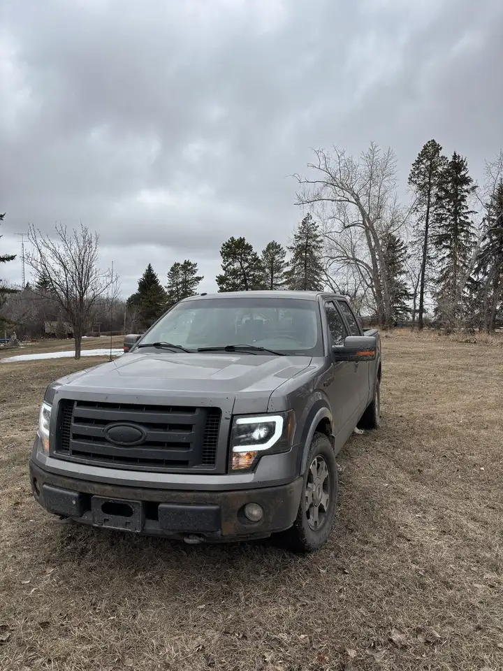 2009 Ford F 150