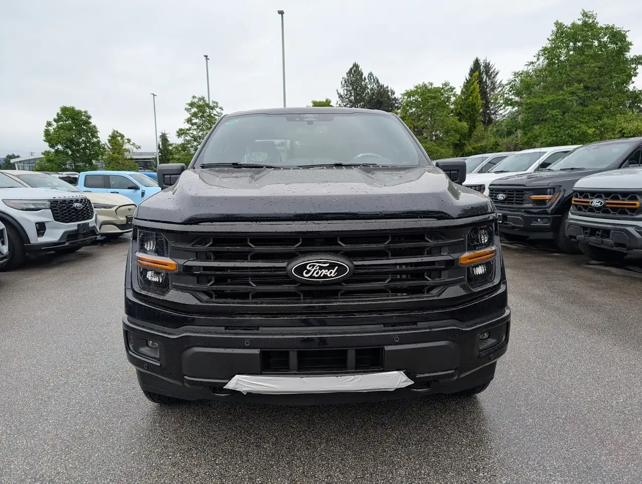 Ford F 150 fotografie Ford F 150