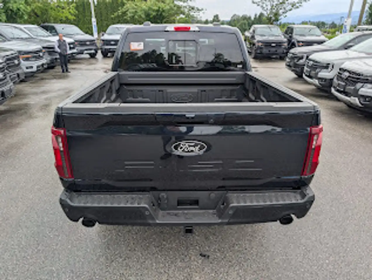 Ford F 150 fotografie Ford F 150