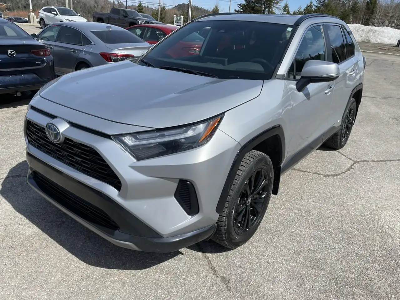 2022 Toyota RAV 4