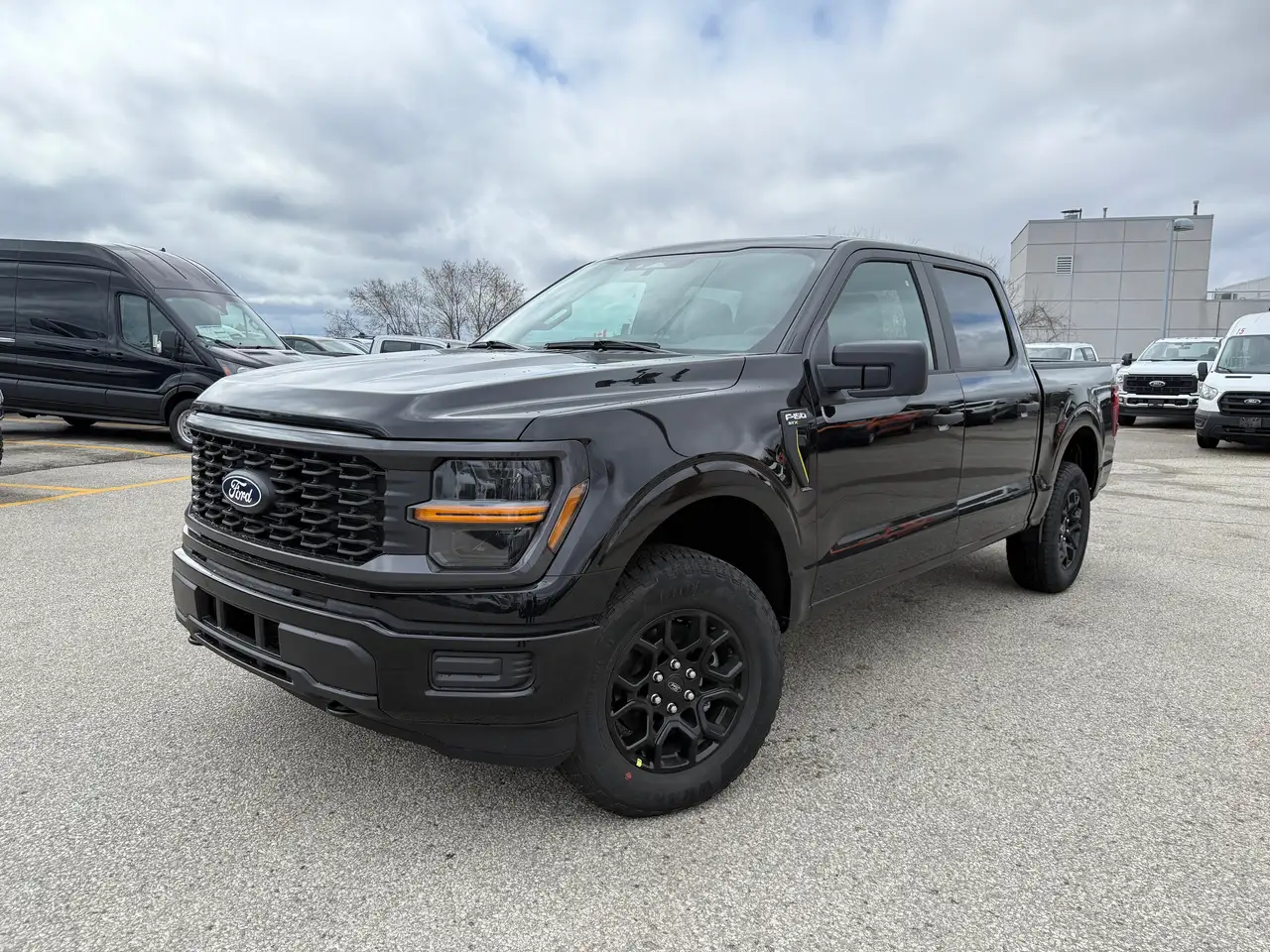 Ford F 150 снимка Ford F 150