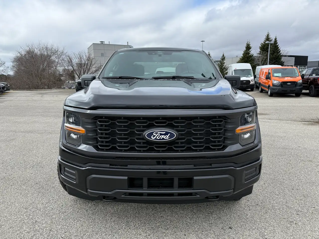 Ford F 150 снимка Ford F 150