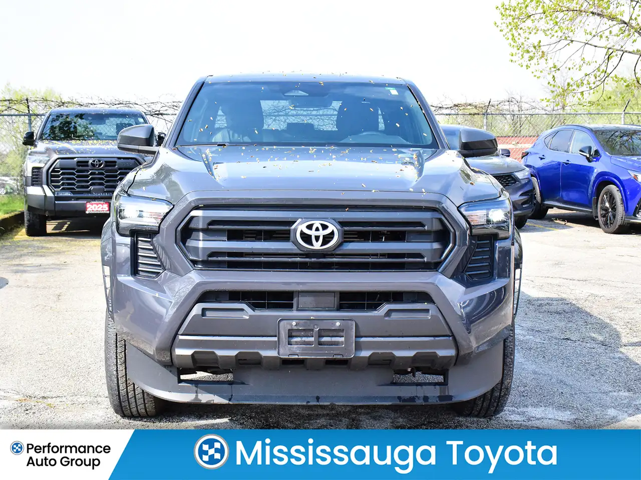 Toyota Tacoma снимка Toyota Tacoma