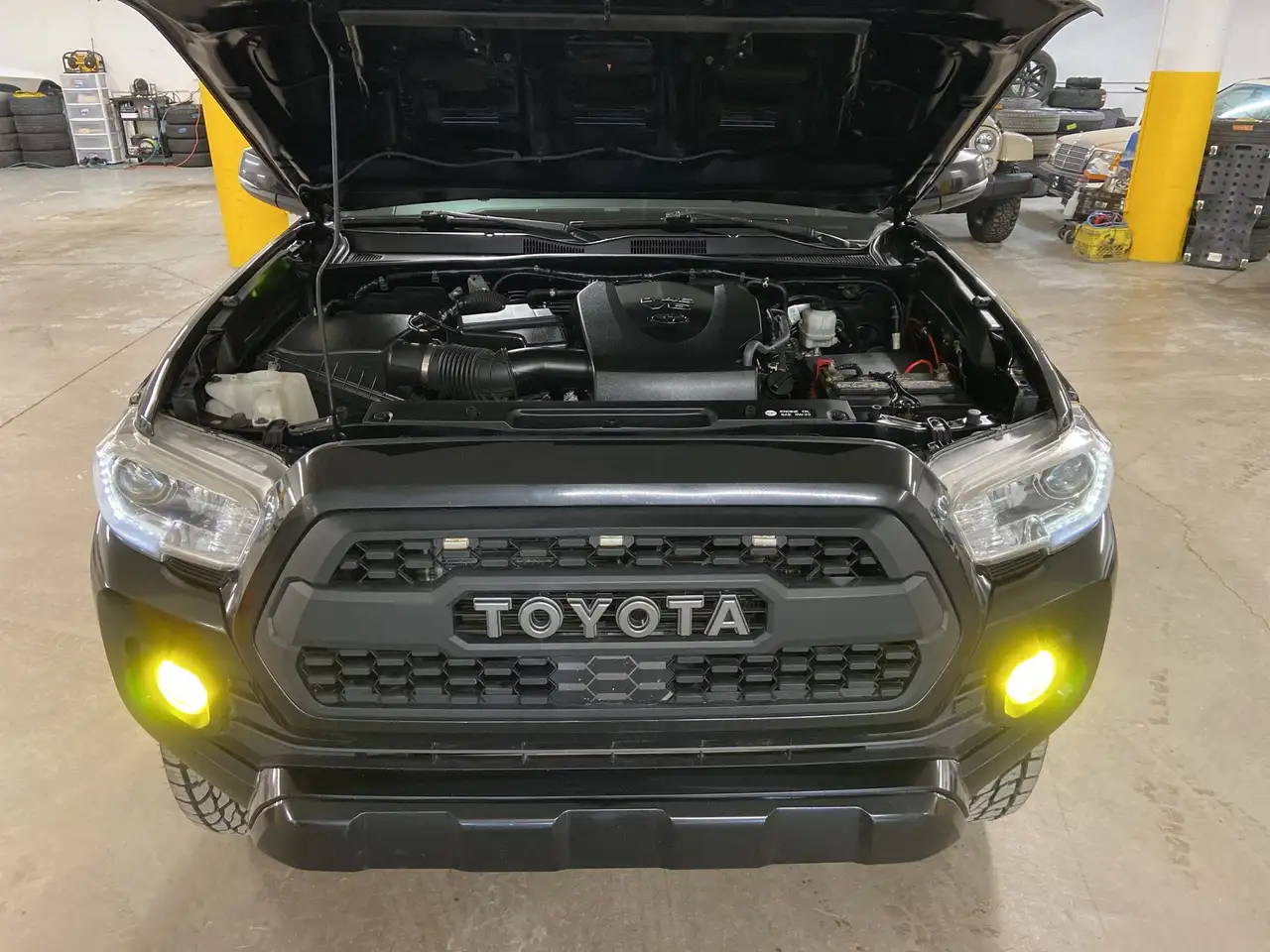 Toyota Tacoma fotografie Toyota Tacoma