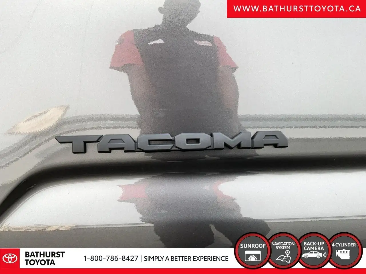 Toyota Tacoma fotografie Toyota Tacoma
