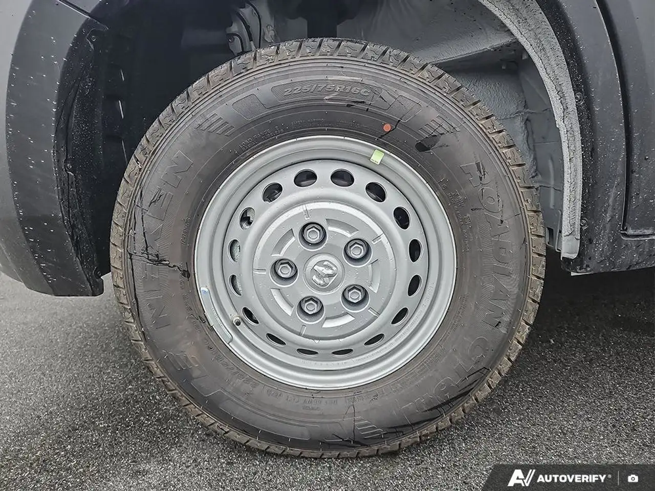 RAM Promaster снимка RAM Promaster