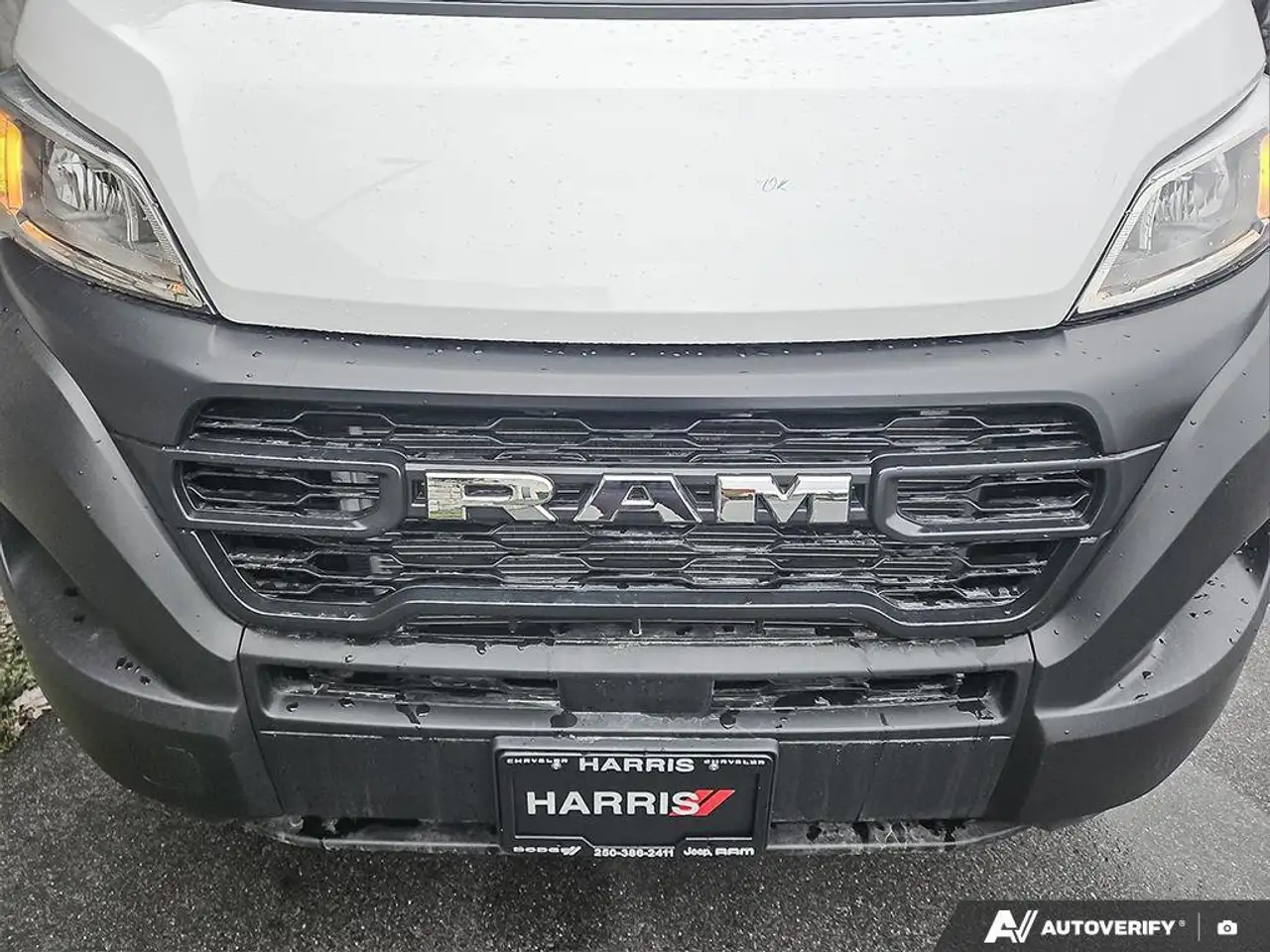 RAM Promaster снимка RAM Promaster