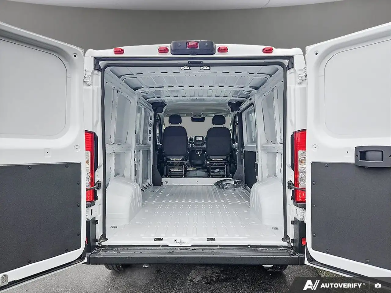 RAM Promaster снимка RAM Promaster